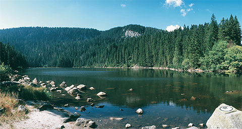 Šumava